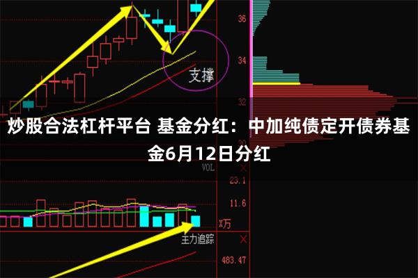 炒股合法杠杆平台 基金分红：中加纯债定开债券基金6月12日分红